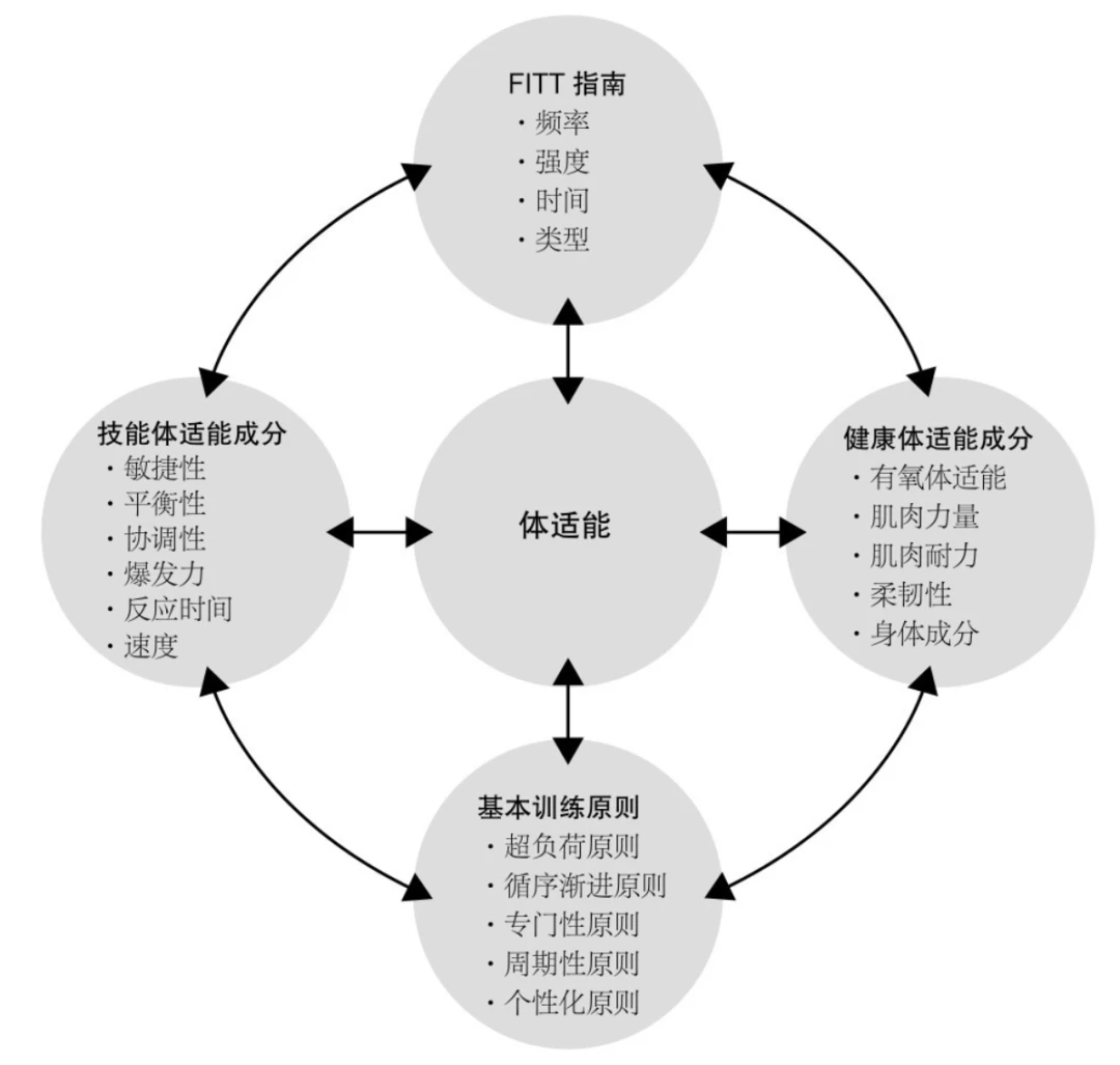 如何制定智能篮球训练计划_0